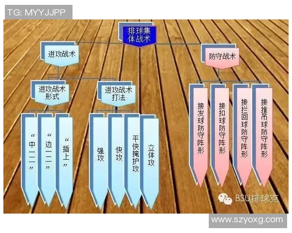 重庆排球队整体压制打法深度分析与战术解读